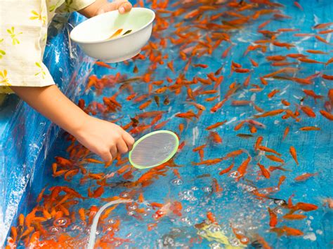 Edogawa Goldfish Festival Gaijinpot Travel