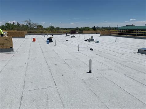 Global Roofing Group Modified Bitumen Roofing