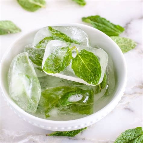 Can You Freeze Mint Leaves Guide To Freezing Fresh Mint Leaves Food