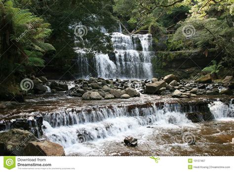 Rainforest Waterfall Stock Image Image Of Fern Tasmania 13137467