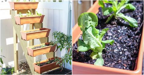 How To Build A Vertical Herb Garden Planter How To