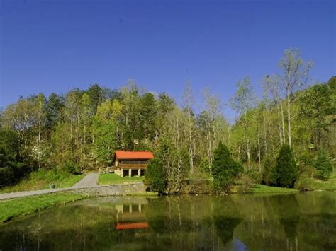 Maybe you would like to learn more about one of these? What Does Fish Oils Do For The Body: Pigeon Forge Cabin ...