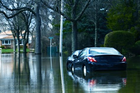 Get your free quotes to compare plans from $19. Does Auto Insurance Cover Hurricane Damage? - ValuePenguin