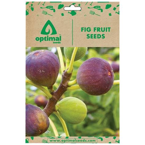 Buy Optimal Seeds Fig Fruit Seeds Online At Best Price Of Rs 149