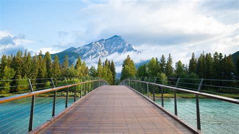 Wooden Bridge Wallpaper 4k Banff National Park Green Trees Mountain