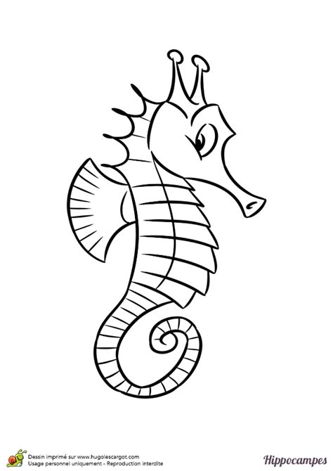 Coloriage Dun Hippocampe Curieux