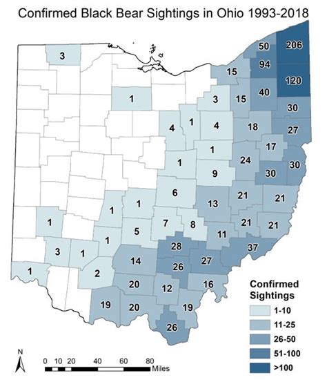 Ohio Division Of Wildlife Says Black Bear Sightings To Increase This