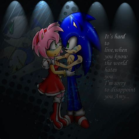 Pin By V S On Sonic And Friends Sonic And Amy Sonic Sonic The