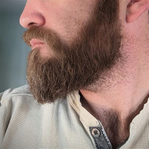 Beard Life Rbeards
