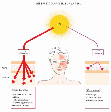 Les soins de la peau en été Dossier Fleurance Nature