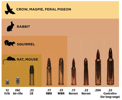 Whats The Best Cartridge For Pest Control Shooting Uk