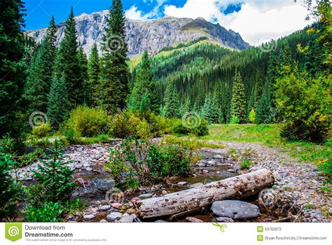 Silverton Colorado South Mineral Creek San Juan Mountains