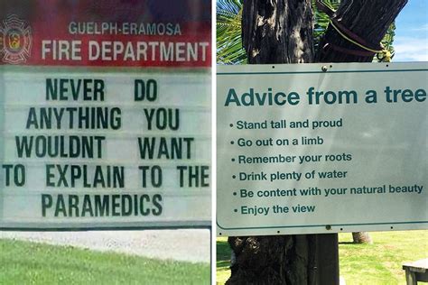 50 Pieces Of Funny Life Advice Thats Just Pure Comedic Gold Bored Panda
