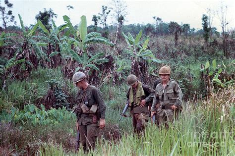 Out On Patrol 4th Infantry Division Central Highlands Of Vietnam 1968