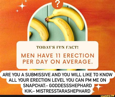 Todays Fun Fact Men Have 11 Erection Per Day On Average Are You A Submissive And You Will