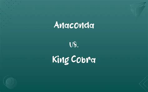 Anaconda Vs King Cobra Know The Difference