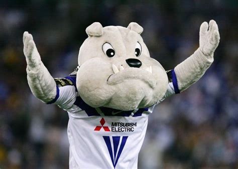 We Rank All 16 Nrl Mascots By Their Creepiness Huffpost Sport
