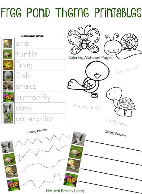 Pin On Pond Activities For Kids