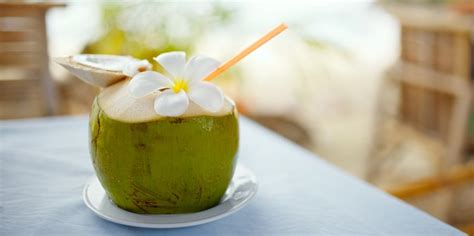 Hari pertama setelah saya kasih air kelapa itu siabu jadi makin nggak nafsu makan. Air Kelapa Sangat Dianjurkan Untuk Penderita Diabetes ...