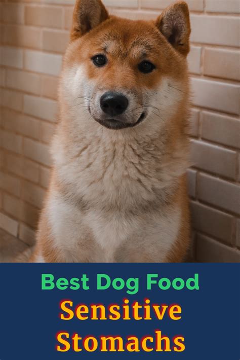 We'll highlight the main ingredients and core purpose of each food. If you want to know Best Dog Food for dogs with sensitive ...