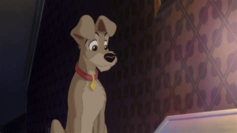 Lady And The Tramp Ii Scamps Adventure Wallpapers Wallpaper Cave