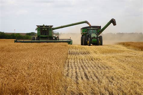 Wheat Harvest Yields Mixed Results Texas Farm Bureau