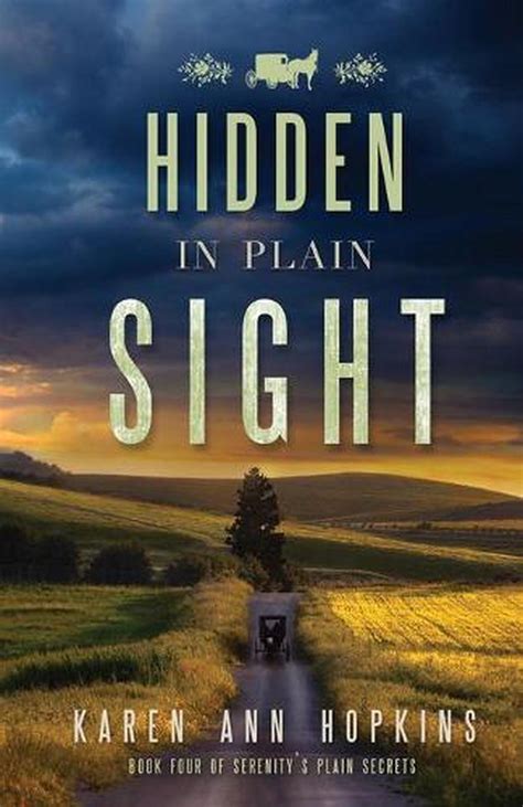 Hidden In Plain Sight By Karen Ann Hopkins English Paperback Book
