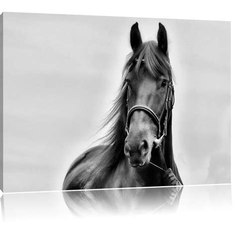 Le thème des chevaux est abordé avec sobriété et élégance. Tableau cheval noir et blanc - Achat / Vente Tableau ...