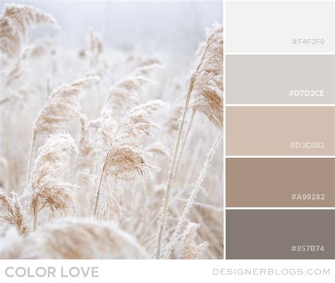 Color Love Soft Neutrals Designer Blogs