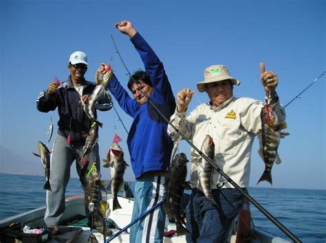 Vhcturismo Pesca Deportiva En La RegiÓn Del Biobio