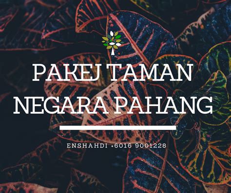 Use the (hari hol of pahang) countdown full screen. Pakej Taman Negara Pahang 2020 / 2021: Pakej Taman Negara ...