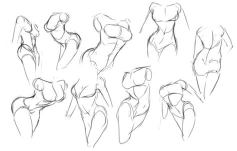 Drawing Poses Anatomy Reference Anatomy Sketches