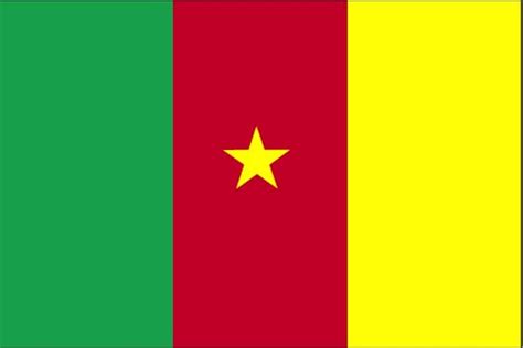 Free Picture Flag Cameroon