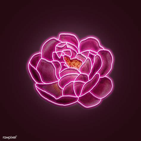 Neon Pink Rose Mockup Premium Image By Rawpixel Com Awirwreckkwrar