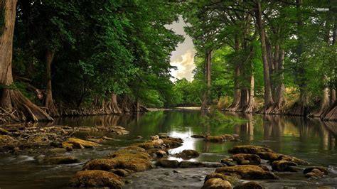 Free Download Forest River Wallpapers Top Free Forest River Backgrounds X For Your