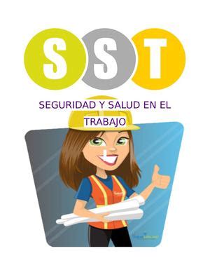 PRINCIPIOS DE LA LEY 29783 SEGURIDAD SALUD Y TRABAJO DFK Perú