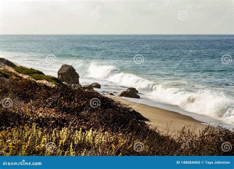 Hillside Covered In Wild Plants Overlooking A Sandy Beach With Rocks