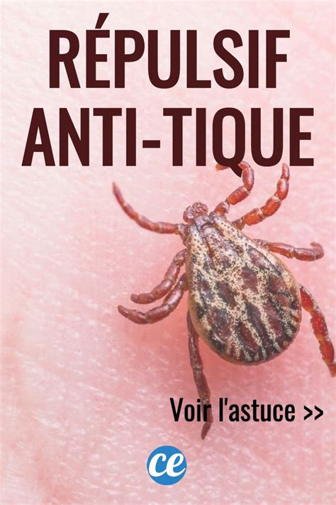 Enfin Un Répulsif Naturel Contre Les Tiques Qui Marche Vraiment En