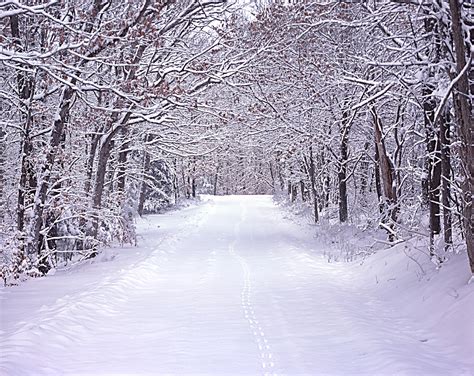 Winter Snowy Country Roads Icefalls Winter Shut Ins Nature Photo