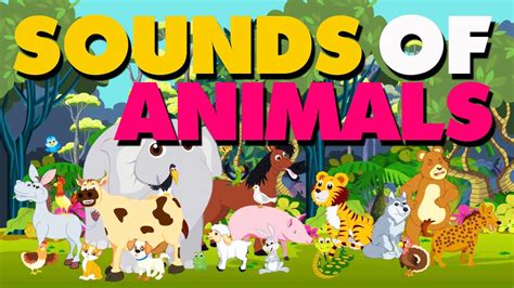 Sounds Of Animals English Nursery Rhymes With Lyrics Youtube