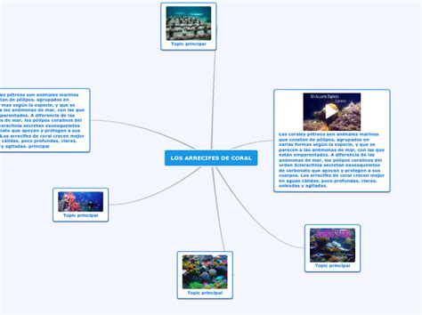 Los Arrecifes De Coral Mind Map