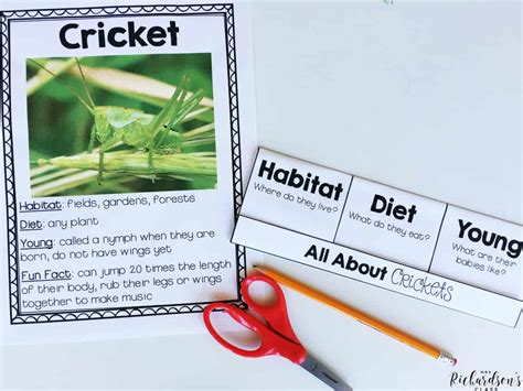 6 Engaging Insect Activities To Help You Teach Mrs Richardsons Class