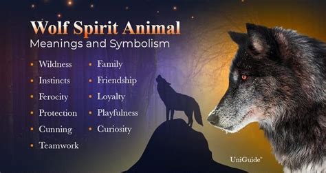 Explore Wolf Meanings And Symbolism And The Wolf Spirit Animal Uniguide