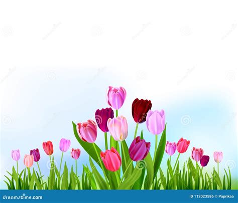 Floral Tulip Spring Banner Stock Vector Illustration Of Garden 112023586