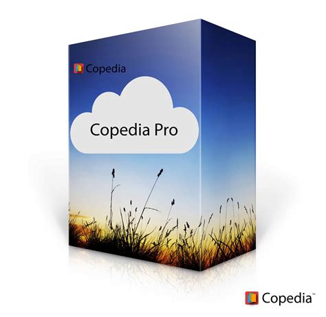 Copedia Pro Grc For All Entities Coso 2013 And Gao Green Book