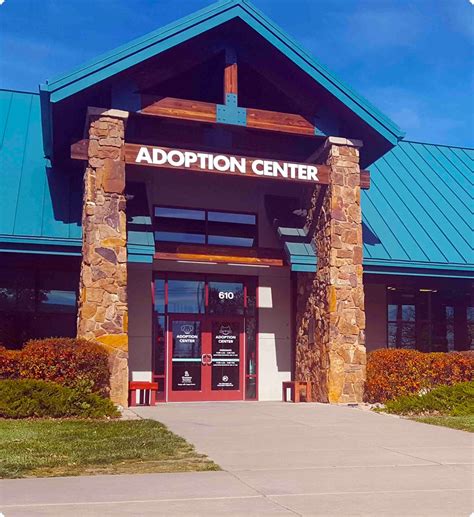 58 Hq Images Pet Adoption Activities Colorado Springs Adopt A Pet
