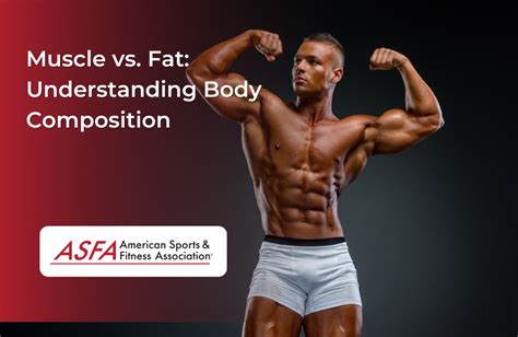 Muscle Vs Fat Understanding Body Composition
