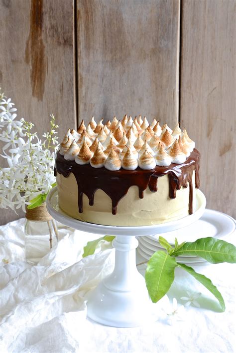 S'mores Chocolate cake | Bibby's Kitchen Cake Friday recipes