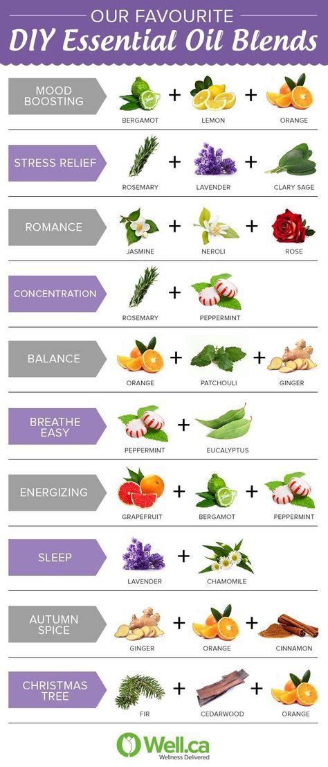 Our Favourite Essential Oil Blends For Aromatherapy Doterra Usos