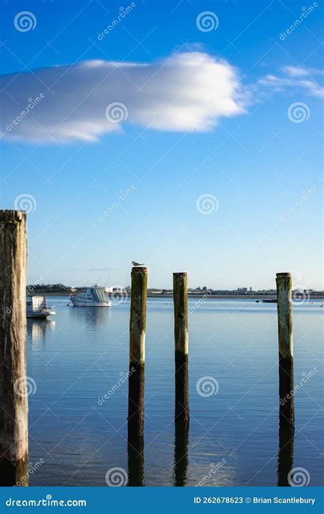 Tauranga Harbourside Waterfront In Morning Light With Old Mooring Posts